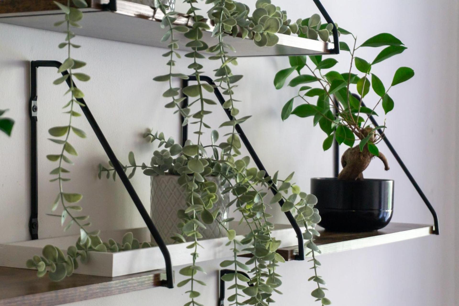 Apartment With Garden Close To Stadthalle, Westbahnhof فيينا المظهر الخارجي الصورة